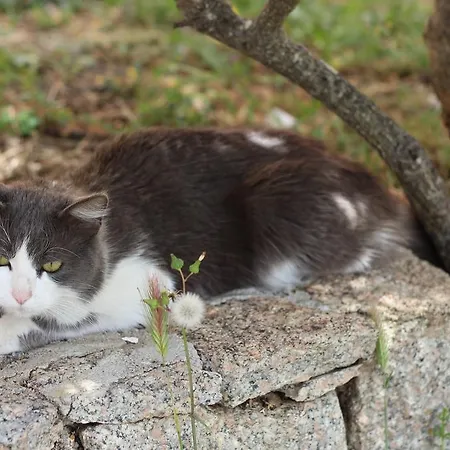 Rurale Lu Salconi Bassacutena