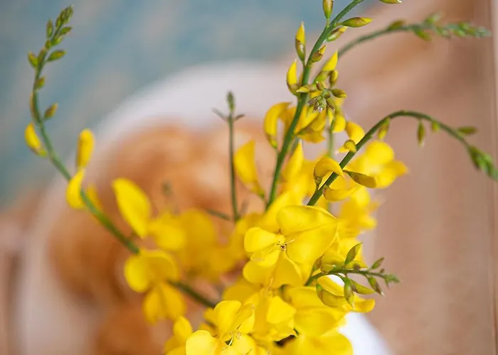 Фермерский дом Rurale Lu Salconi *